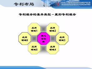 企業(yè)知識產(chǎn)權(quán)戰(zhàn)略規(guī)劃與管理培訓(xùn)精品課件分享 二 計算機系統(tǒng)服務(wù)